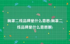 胸罩二线品牌是什么意思(胸罩二线品牌是什么意思啊)