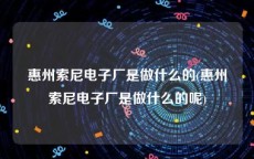 惠州索尼电子厂是做什么的(惠州索尼电子厂是做什么的呢)