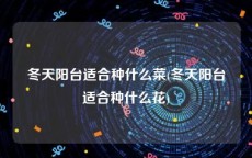 冬天阳台适合种什么菜(冬天阳台适合种什么花)