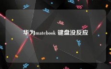 华为matebook 键盘没反应