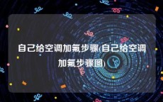 自己给空调加氟步骤(自己给空调加氟步骤图)