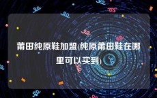 莆田纯原鞋加盟(纯原莆田鞋在哪里可以买到)