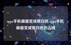 oppo手机画面变成黑白色 oppo手机画面变成黑白色怎么调