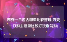 西安一日游去哪里比较好玩(西安一日游去哪里比较好玩自驾游)