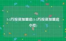 1-3万投资加盟店(1-3万投资加盟店小吃)