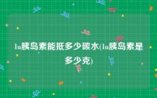1u胰岛素能抵多少碳水(1u胰岛素是多少克)
