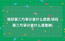 项目第三方审计是什么意思(项目第三方审计是什么意思啊)