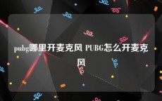 pubg哪里开麦克风 PUBG怎么开麦克风