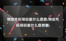 物业外拓项目是什么意思(物业外拓项目是什么意思啊)