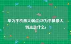华为手机最大弱点(华为手机最大弱点是什么)