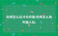 吃鸡怎么玩才会厉害(吃鸡怎么和外国人玩)