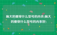 胸大的要穿什么型号的内衣(胸大的要穿什么型号的内衣好)