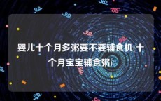 婴儿十个月多粥要不要辅食机(十个月宝宝辅食粥)