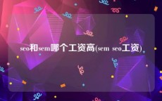 seo和sem哪个工资高(sem seo工资)