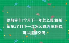 提前审车3个月下一年怎么算(提前审车3个月下一年怎么算,汽车保险可以提前交吗)