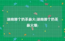 湖南哪个奶茶最火(湖南哪个奶茶最火爆)