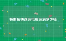 特斯拉快速充电桩充满多少钱