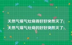 天然气煤气灶烧得好好突然灭了(天然气煤气灶烧的好好突然灭了)