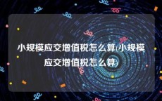 小规模应交增值税怎么算(小规模应交增值税怎么算)