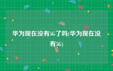 华为现在没有5G了吗(华为现在没有5G)