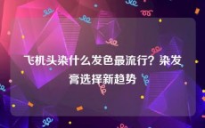 飞机头染什么发色最流行？染发膏选择新趋势