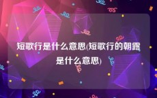 短歌行是什么意思(短歌行的朝露是什么意思)