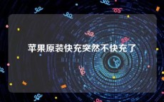 苹果原装快充突然不快充了