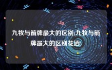 九牧与箭牌最大的区别(九牧与箭牌最大的区别花洒)