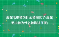 现在毛巾被为什么被淘汰了(现在毛巾被为什么被淘汰了呢)