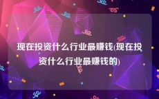 现在投资什么行业最赚钱(现在投资什么行业最赚钱的)