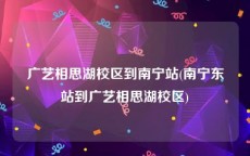 广艺相思湖校区到南宁站(南宁东站到广艺相思湖校区)