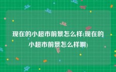 现在的小超市前景怎么样(现在的小超市前景怎么样啊)