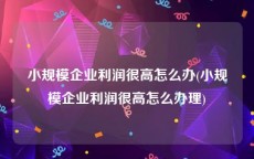 小规模企业利润很高怎么办(小规模企业利润很高怎么办理)