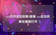 vivo打开定位权限2那里 vivo定位权限在哪里打开