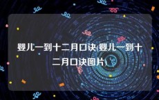 婴儿一到十二月口诀(婴儿一到十二月口诀图片)
