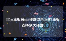 865pe主板装sata硬盘效果(865PE主板支持多大硬盘)