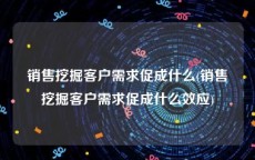 销售挖掘客户需求促成什么(销售挖掘客户需求促成什么效应)