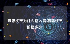 慕思枕王为什么这么贵(慕思枕王价格多少)