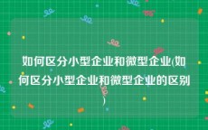 如何区分小型企业和微型企业(如何区分小型企业和微型企业的区别)