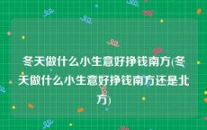 冬天做什么小生意好挣钱南方(冬天做什么小生意好挣钱南方还是北方)