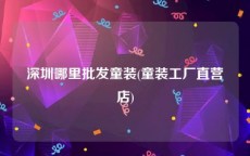 深圳哪里批发童装(童装工厂直营店)