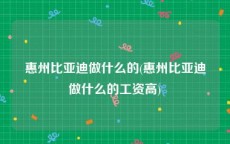 惠州比亚迪做什么的(惠州比亚迪做什么的工资高)