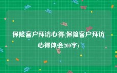 保险客户拜访心得(保险客户拜访心得体会200字)