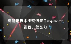 电脑进程中出现很多个iexplore.exe进程，怎么办
