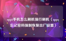 oppo手机怎么刷机强行刷机〈oppo忘记密码强制恢复出厂设置〉