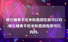 婴儿辅食不吃米粉直接吃粥可以吗(婴儿辅食不吃米粉直接吃粥可以吗吗)