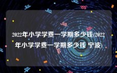 2022年小学学费一学期多少钱(2022年小学学费一学期多少钱 宁波)