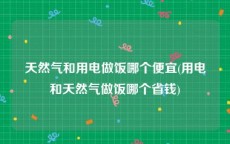 天然气和用电做饭哪个便宜(用电和天然气做饭哪个省钱)