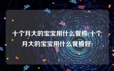 十个月大的宝宝用什么餐椅(十个月大的宝宝用什么餐椅好)