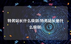 特务站长什么级别(特务站长是什么级别)